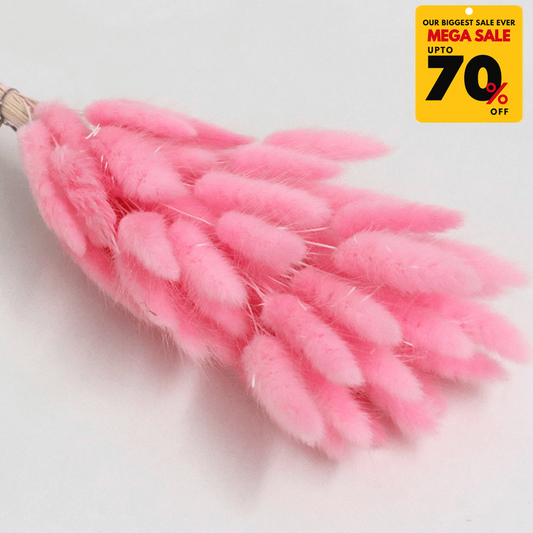 Natural Dried Fluffy Bunny Tails - SC 42