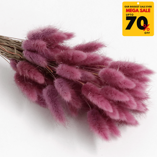 Natural Dried Fluffy Bunny Tails - SC 32